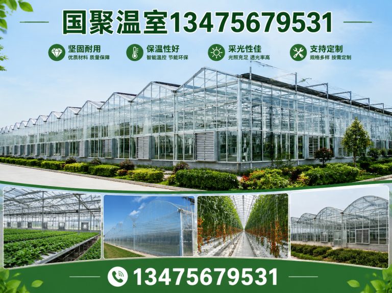 山东国聚温室展示图