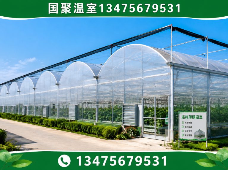 山东温室大棚厂家展示图