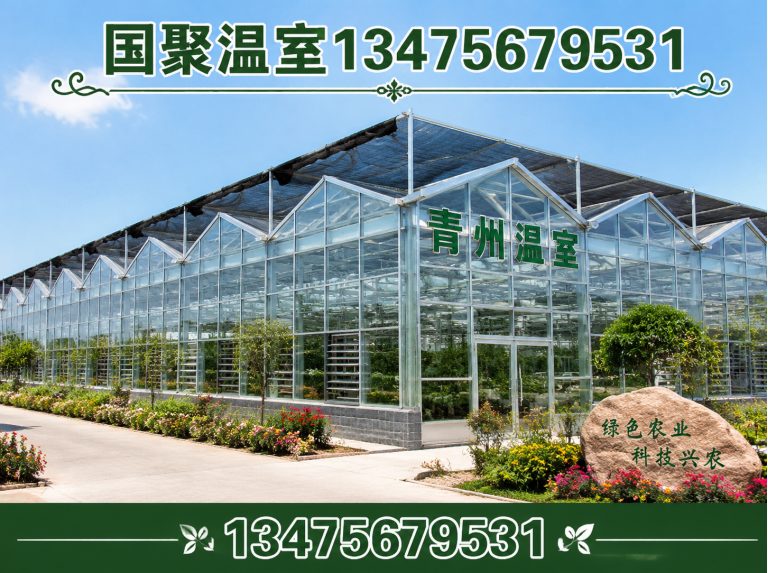 山东玻璃温室展示图